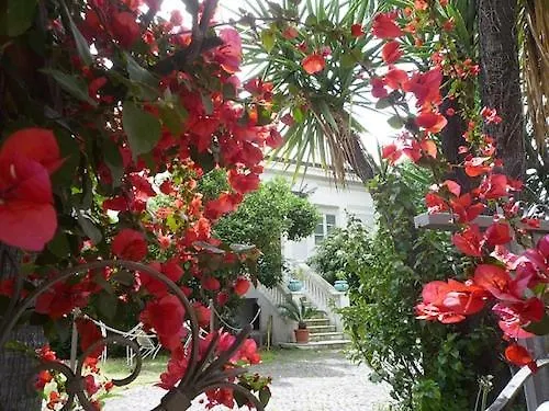 Apartment Suites Loft La Nasse Sanremo
